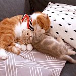 [수리<b>노을</b>] 아빠와 나