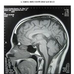 [고급유머b] 잘 몰랐던 <b>상식</b>들 有