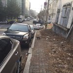 길고양이 밥 주기 