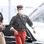 까치집 머리하고 공항나타난 탑