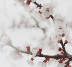 [꼭조언부탁] 연 끊었는데 잘 한 걸까