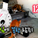 [람쥐] 12화 - 질투심에 꽁한 람쥐_시즌2