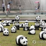 [EXO] 광화문에 이어서ㅋㅋ대전 <b>팬더</b>