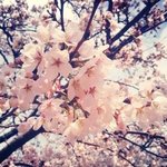 [인피니트] 앨범속 숨겨진 팬송들