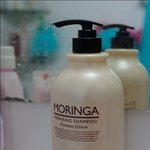 [댓글부탁해] 모링가 샴푸 모르는분 없죠^^