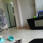 브숏맞나요?