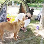 +추가))애견카페에 크기 큰 <b>믹스</b>견은 출입못하나요?