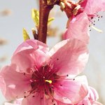 이사진 배경하면 남자한테 연락<b>온대</b>︎!