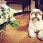 <b>도움</b>주신분을 찾습니다