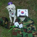 6월은 호국보훈의 달입니다!! (개똥이 소품으로 사용 ㅋㅋ)