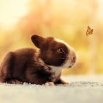 [<b>아돌</b>가창력] 아이돌들 가창력 쩌는애들(반박불가)