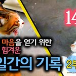 [<b>람</b>쥐] 14화 - <b>람</b>쥐의 마음을 얻기 위한 랑이의 눈물겨운 10일간의...