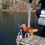 <b>절묘</b>한 사람과 동물의 착시 현상