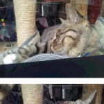[웃기는사진] * 찍지 말라니까!! *
