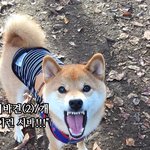 [EXO] <b>무쌍</b>=시ㅇㅜ민이 아니라고