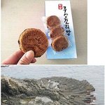 [고급유머<b>b</b>] <b>지역</b>별 이쁜 빵들