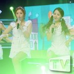 [모든팬덤] 마리텔 <b>기미</b>작가 닮은꼴 아이돌