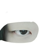 [조언부탁해] 쌍수