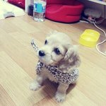 <b>콜라</b>에요~