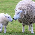 전화자주하시는 우리 할머님 더<b>착한</b>요금제로 바꿔드렸어요