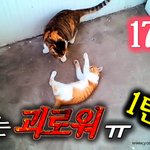 [<b>람</b>쥐] 17화 - <b>람</b>쥐는 괴로워 1탄_시즌2