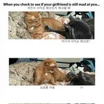 [캐치룩] 우리가 이래 본적이 있어봐야 알지 커플<b>xx</b>들아