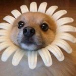 [짝사랑] 2살 <b>연상</b> 좋아하는오빠랑 연애하고싶어ㅠㅠ