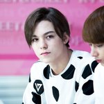 [모든팬덤] 세븐틴 파고있는데 <b>적응</b>안됨