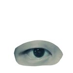 [조언부탁해] <b>안검</b>하수??