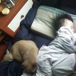 [댓글부탁] 계단에서 <b>주운</b> 강아지