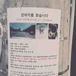 [콜라<b>포</b><b>메</b>] 3주가넘었어요...