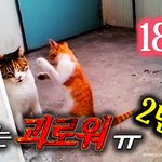 [<b>람</b>쥐] 18화 - <b>람</b>쥐는 괴로워 2탄_시즌2