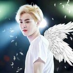 [EXO] 판에 몇몇 또라이들때문에 지친 <b>엑셀</b>들을 위해