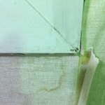 집에 비가 <b>새요</b>. 그리고 곰팡이 맞는지도 좀 봐주세요ㅠㅠ
