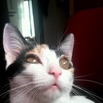 [모든팬덤] Sm이고 <b>yg</b>고간에 인물없긴 마찬가지