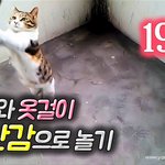 [람쥐] 19화 - 길고양이 람쥐와 옷걸이 장난감으로 놀기_<b>시즌</b>2