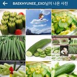 [EXO] 백현태그?된거봤다가 소름돋음