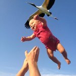 [콜로라도] 아기는 어떻게 생기나요.jpg