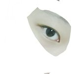 <b>아라</b> 눈꼬리
