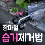 장마철 <b>습기</b>제거법