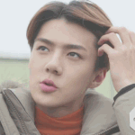 [EXO] 별그램 에서본건데 ㅅㅂ 저런남자라면빼박결혼