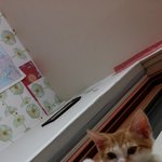 나의 동거남 '<b>도칠</b>이'