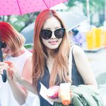 손나은 최근 음악방송 출퇴근길 <b>직찍</b>ㄷ