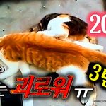 [람쥐] 20화 - 람쥐는 괴로워 3탄_시즌2 마지막회