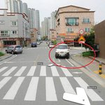 고양이를 주었습니다.(청주시 흥덕구 <b>오송역</b> 부근) /