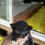 유기동물센터에서 태어난 <b>꼬물</b>이