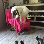 [<b>캐치</b>룩] 일진의 무서움 