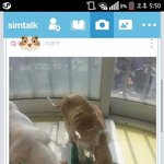 [고급유머b] 동물<b>학대</b>하는 미친년...