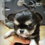 [<b>김</b><b>탄</b>] 사랑스러운 <b>김탄</b>을 소개합니다