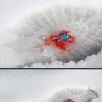 [팡팡유머] 사람이 <b>개미</b>만큼 작다면